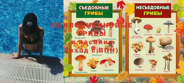 гидра Вязьма