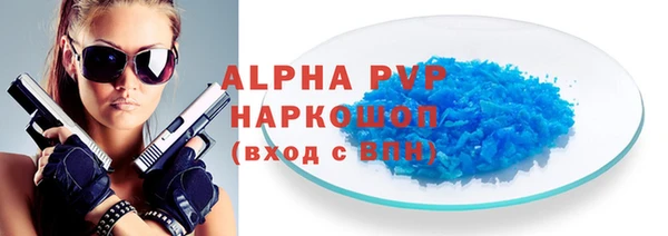шишки Пестово