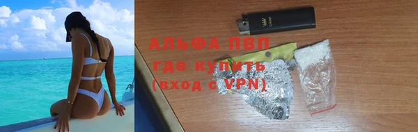 ГАЛЛЮЦИНОГЕННЫЕ ГРИБЫ Осташков