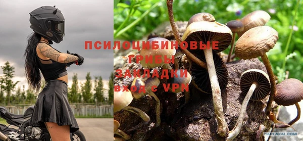ГАЛЛЮЦИНОГЕННЫЕ ГРИБЫ Осташков