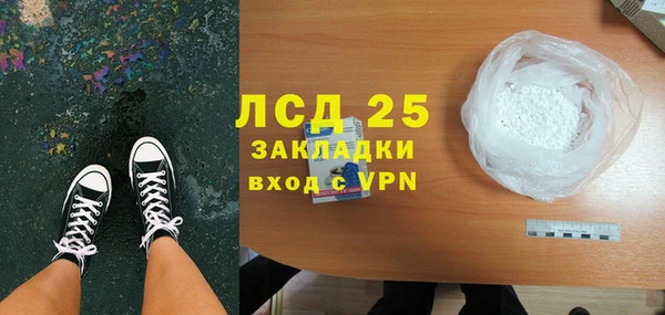 ГАЛЛЮЦИНОГЕННЫЕ ГРИБЫ Осташков