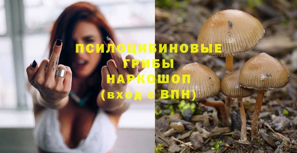ГАЛЛЮЦИНОГЕННЫЕ ГРИБЫ Осташков