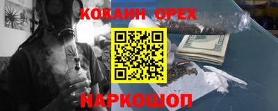 a pvp Камышлов