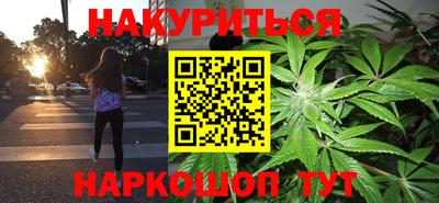 a pvp Камышлов