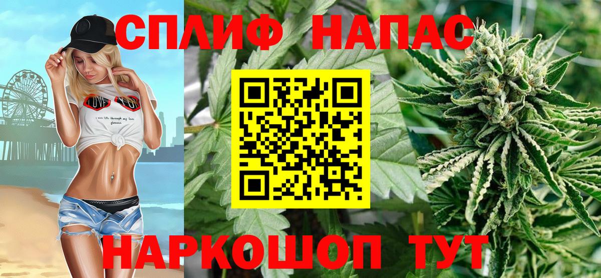 Бошки Шишки план Арсеньев